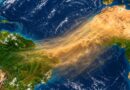 How Dust From the Sahara Desert Brings Life to the Amazon Rainforest