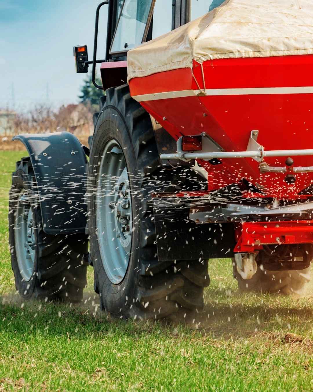 Tractor spreading fertilizer
