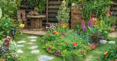 10 Simple Ways to Turn Your Garden into a Haven for Birds, Bees, and Butterflies