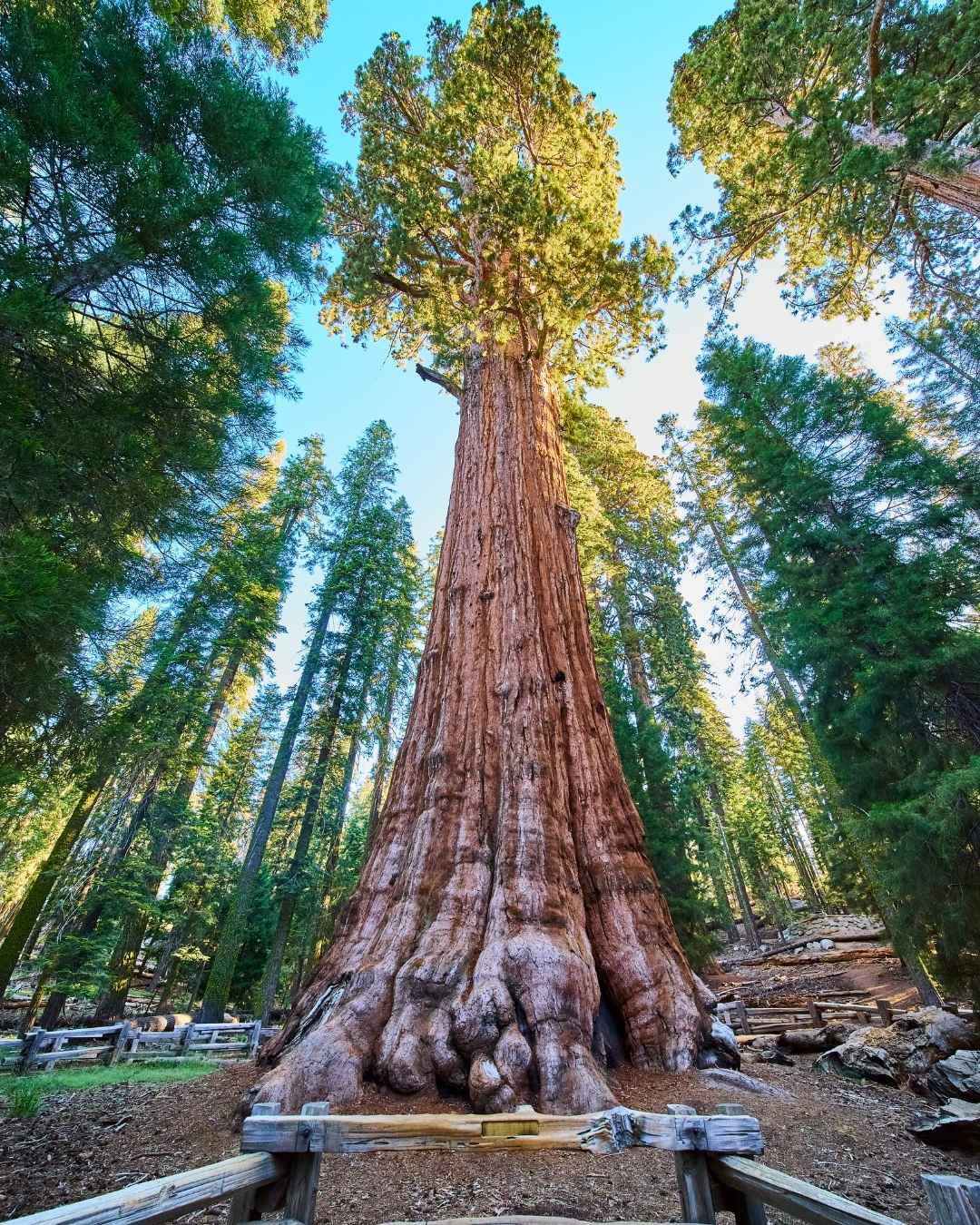 General Sherman
