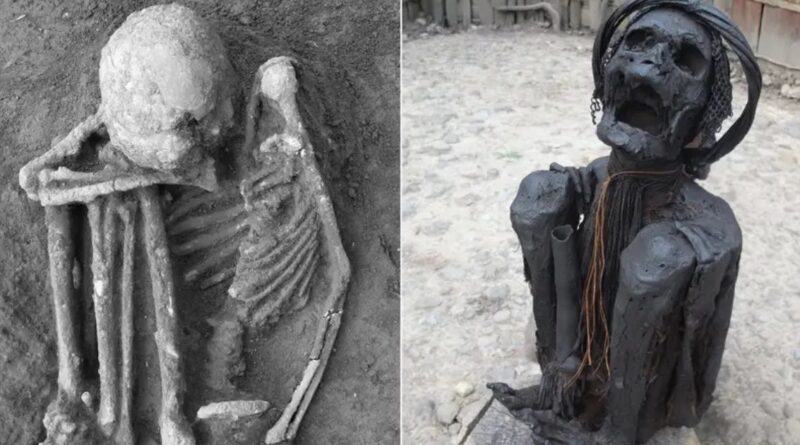 two mummies. One 8,000 years old mummy and recent one from Asia